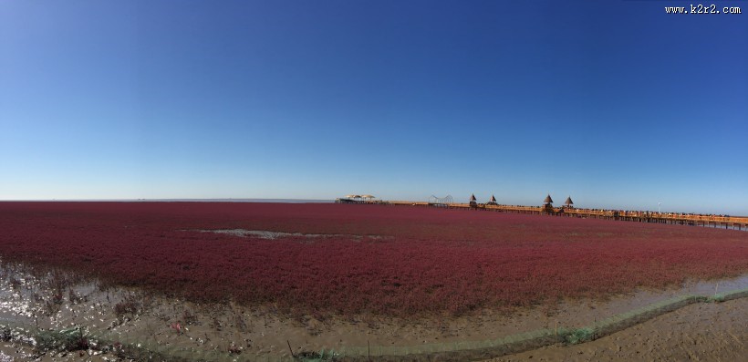 辽宁，盘锦红海滩风景图片