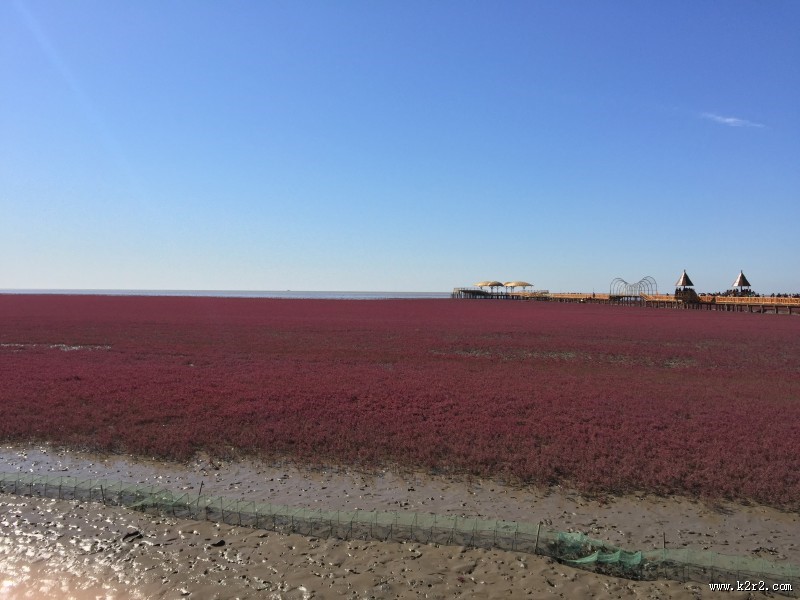 辽宁，盘锦红海滩风景图片