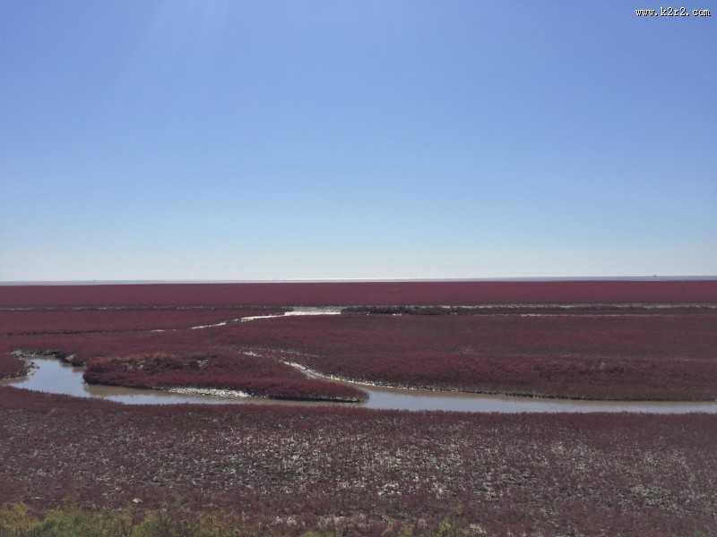 辽宁，盘锦红海滩风景图片