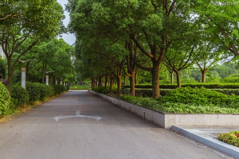 上海视觉艺术学院校园风景图片