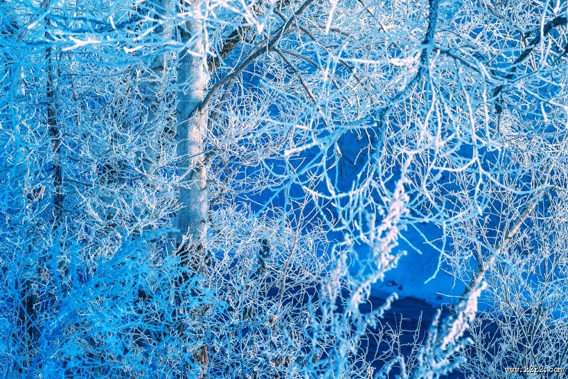 黑龙江大平台雾凇风景图片