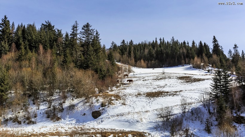 宁武马仑草原风景图片