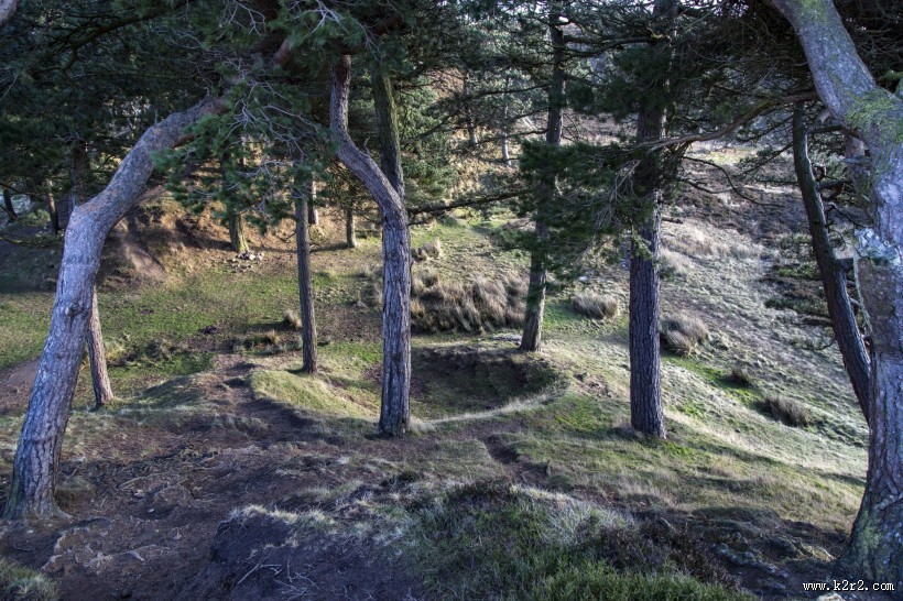 英国约克郡野外风景图片大全
