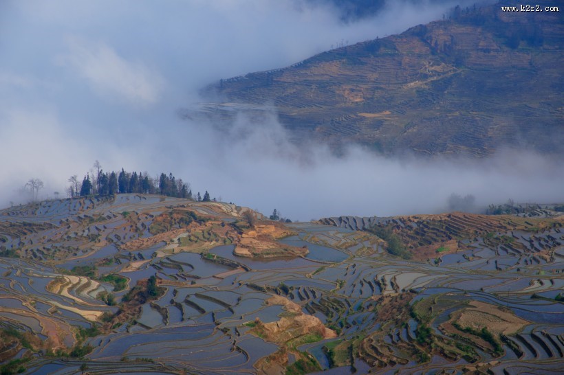 云南元阳梯田真实风景图片
