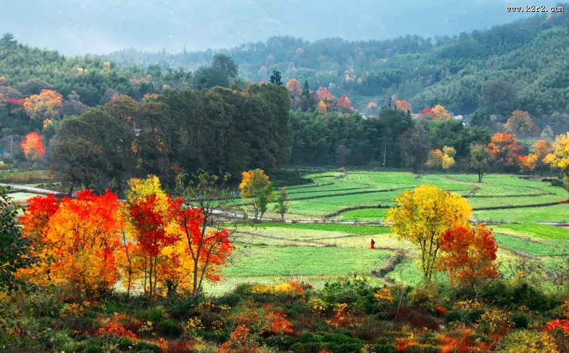 安徽塔川风景图片大全