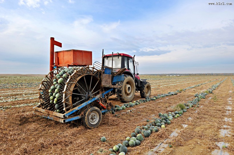 北疆秋色风景图片