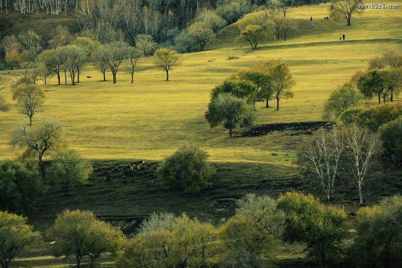 金秋蛤蟆坝风景图片大全