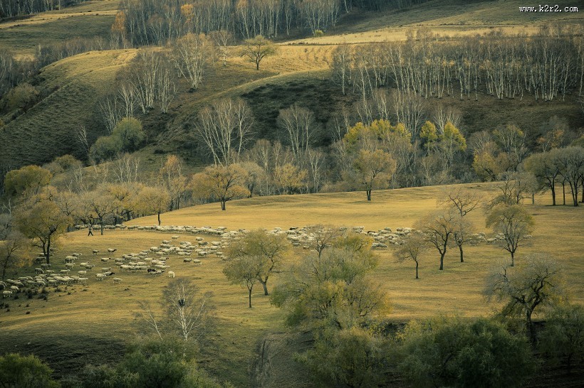 金秋蛤蟆坝风景图片大全
