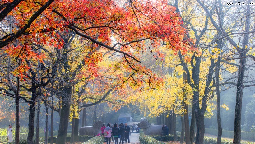 江苏南京明孝陵秋景图片