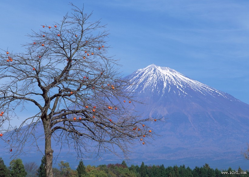 风景优美的富士山图片