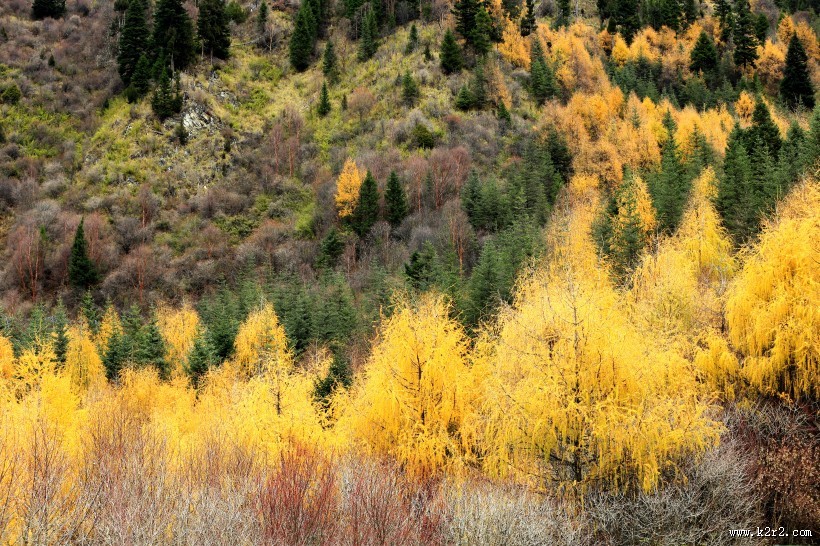醉美的九寨沟风景图片