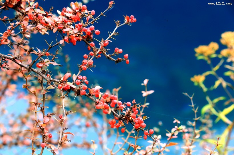 醉美的九寨沟风景图片