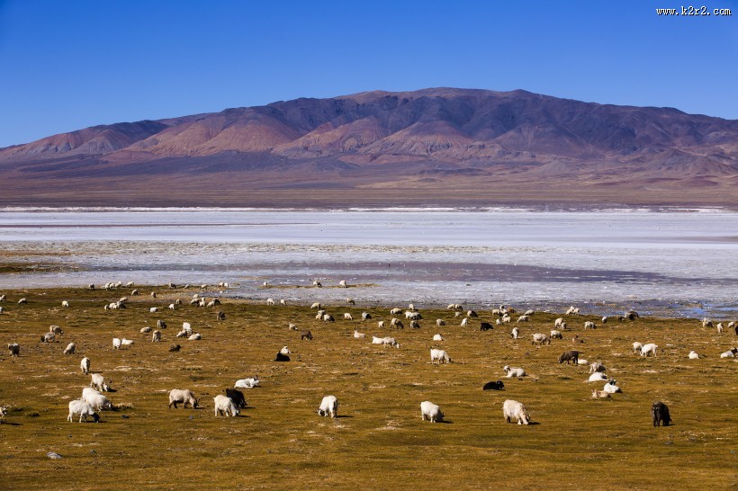 西藏阿里改则风景图片