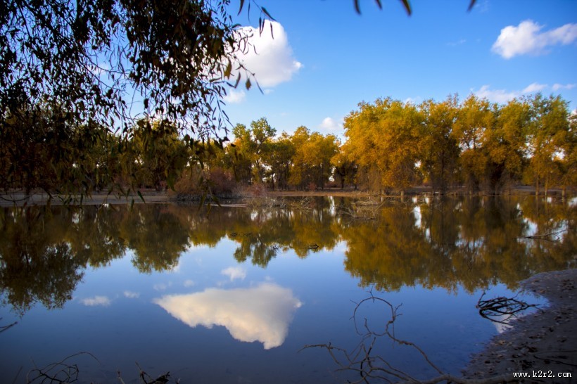 内蒙古额济纳胡杨林风景图片大全