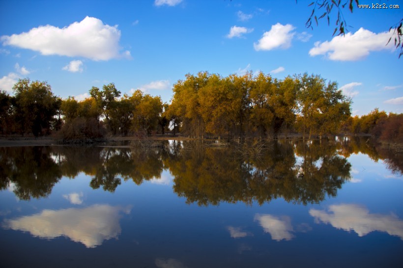 内蒙古额济纳胡杨林风景图片大全