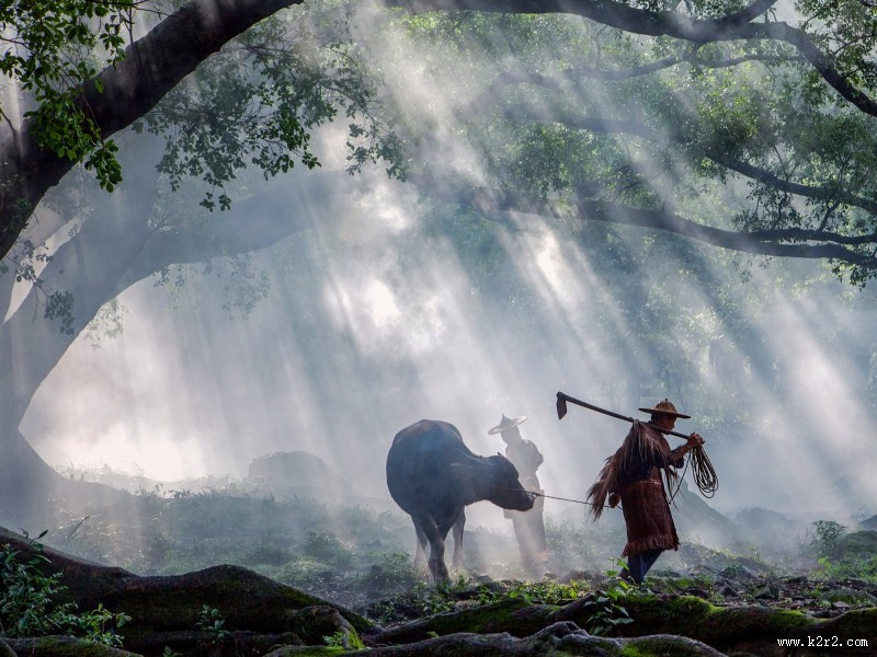 福建杨家溪晨雾风景图片大全