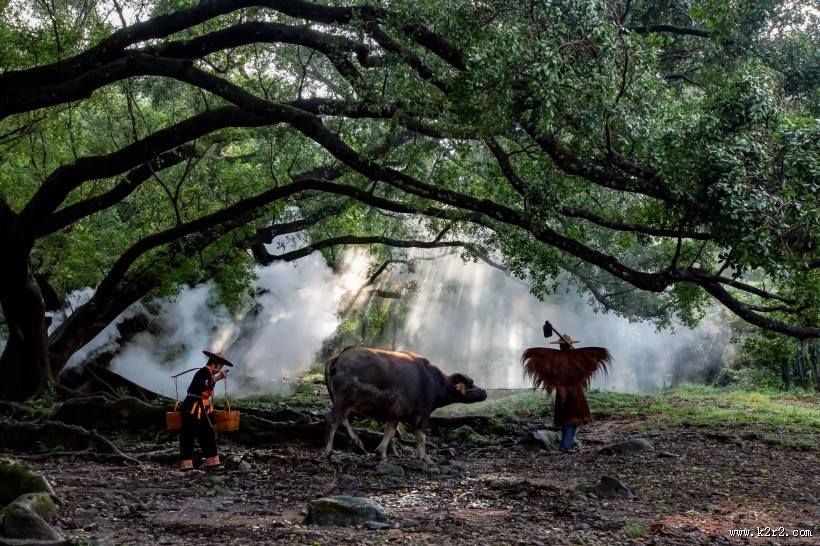 福建杨家溪晨雾风景图片大全