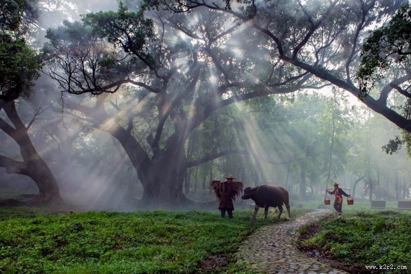 福建杨家溪晨雾风景图片大全