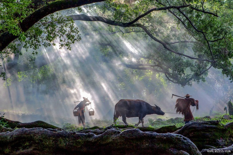 福建杨家溪晨雾风景图片大全