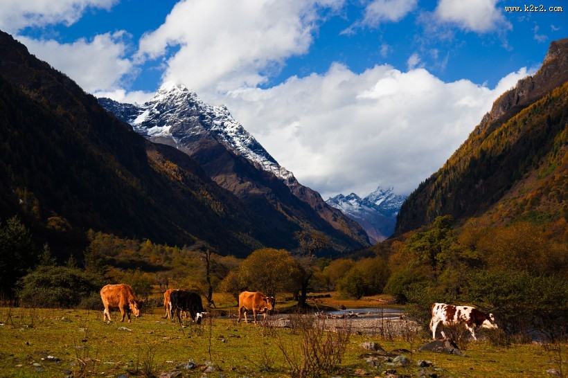 四川四姑娘山风景图片