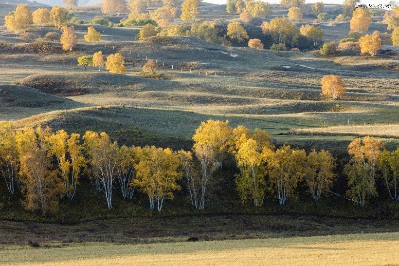 河北坝上草原风景图片