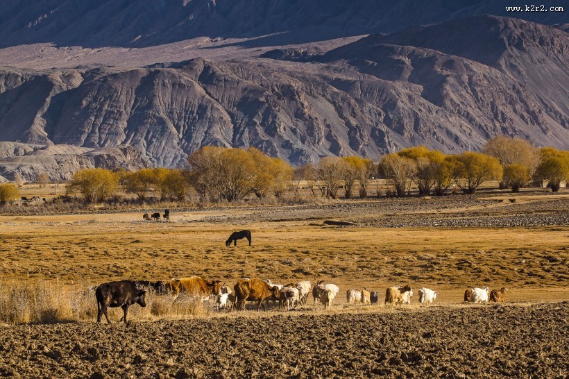 新疆塔什库尔干风景图片