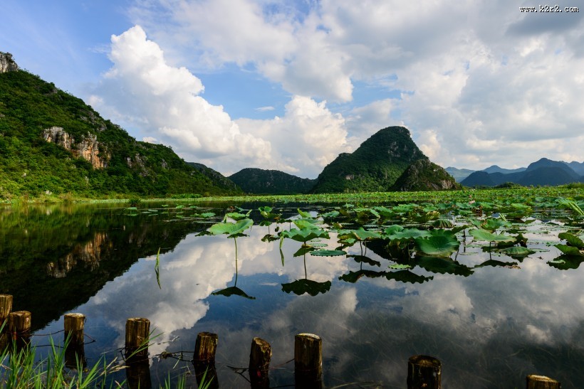 云南普者黑风景图片