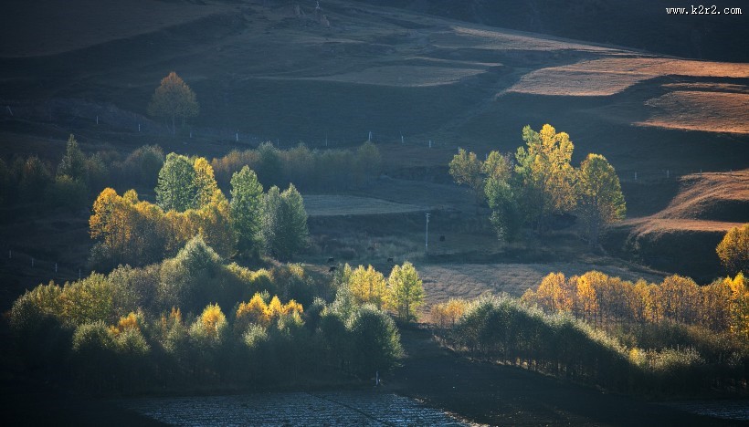 四川新都桥风景图片大全