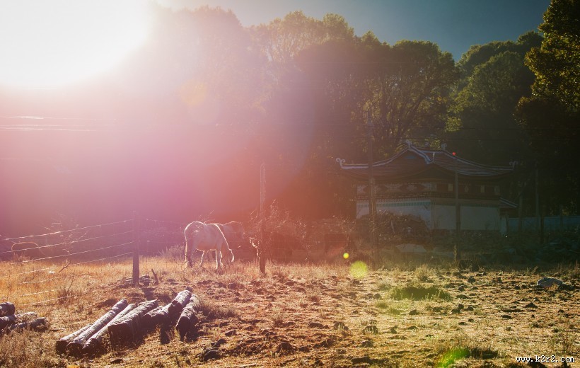 四川新都桥风景图片大全