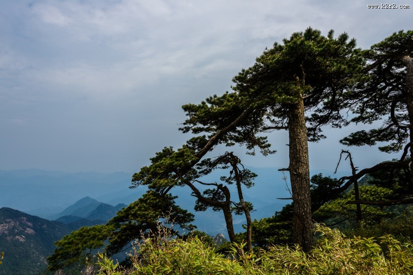 江西三清山风景图片