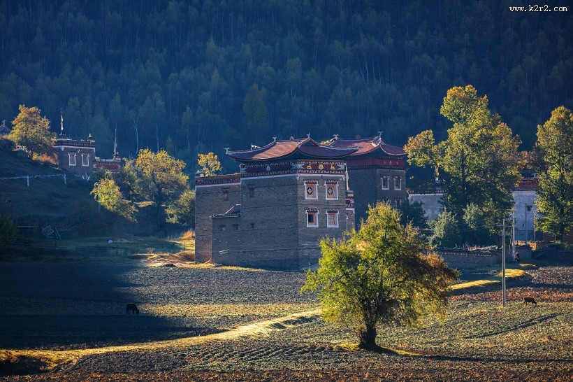 四川新都桥风景图片大全