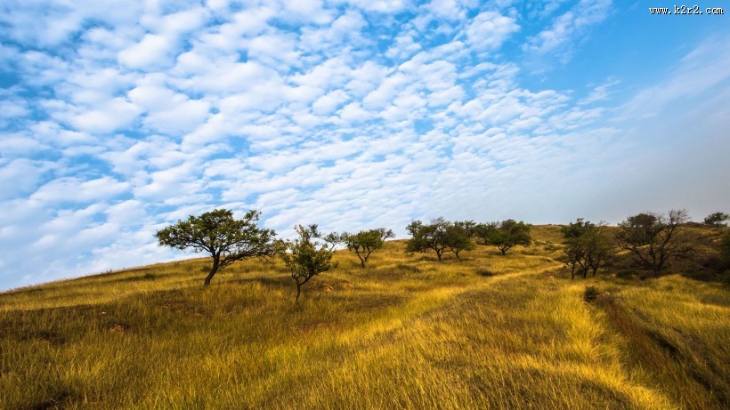 浙江杭州径山金秋风景图片大全