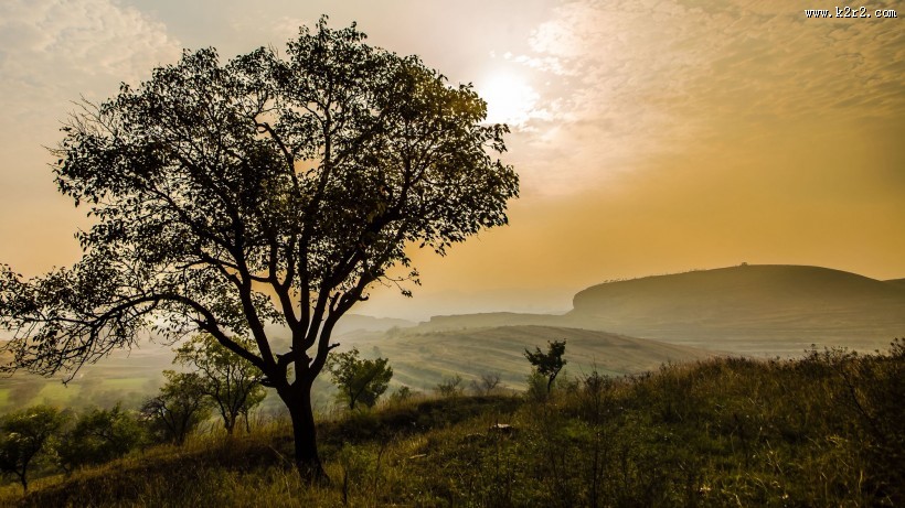 浙江杭州径山金秋风景图片大全