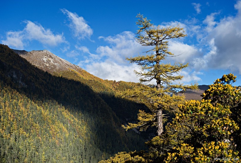 四川川西风景图片大全