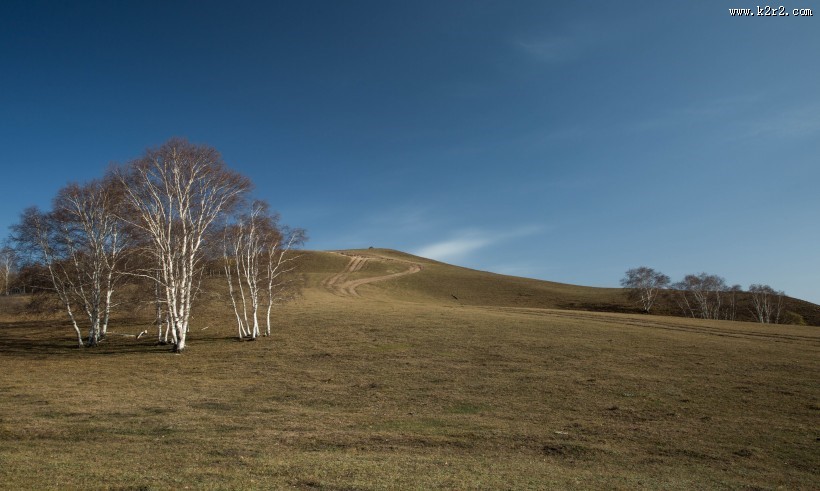 内蒙古乌兰布统秋色图片