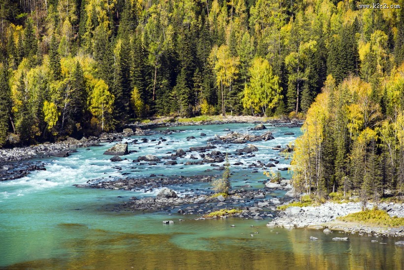 新疆喀纳斯卧龙湾风景图片