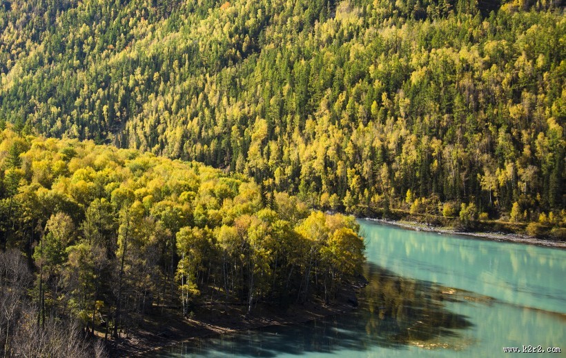 新疆喀纳斯卧龙湾风景图片
