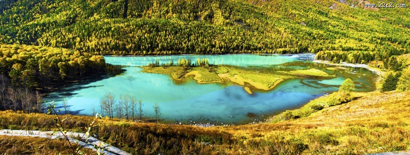 新疆喀纳斯卧龙湾风景图片