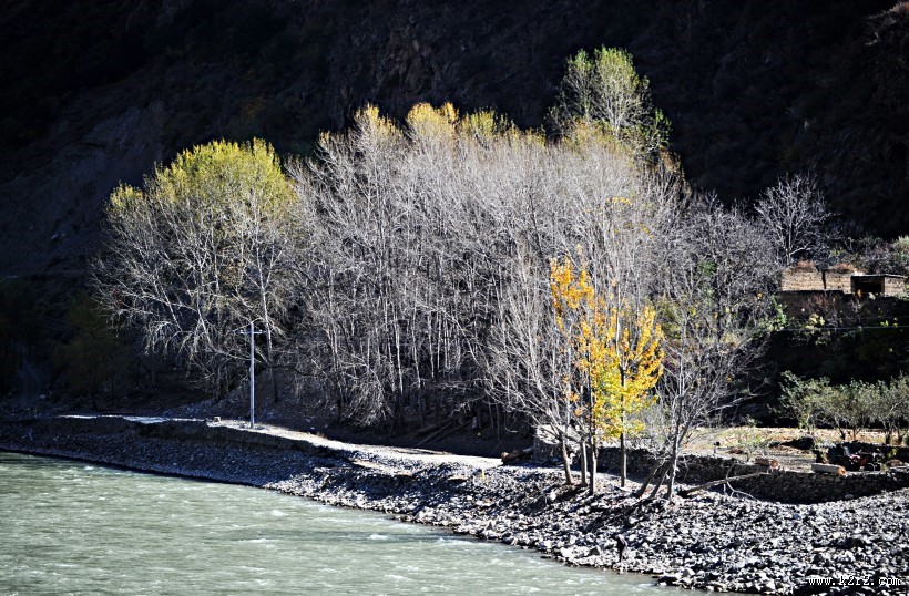 醉美川西秋色风景图片