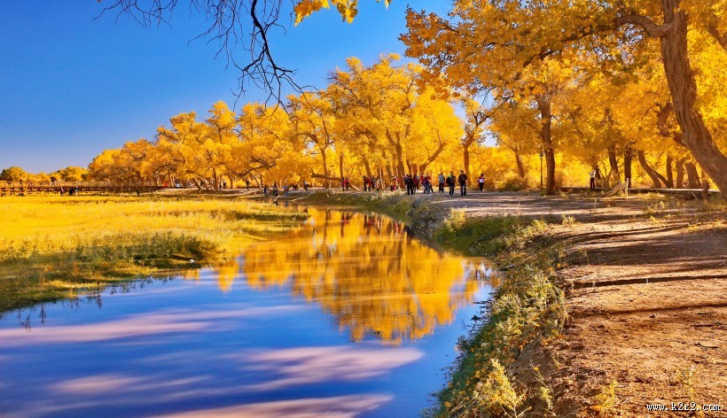 内蒙古额济纳胡杨林风景图片