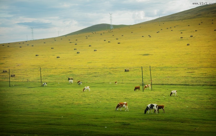 内蒙古呼伦贝尔风景图片大全