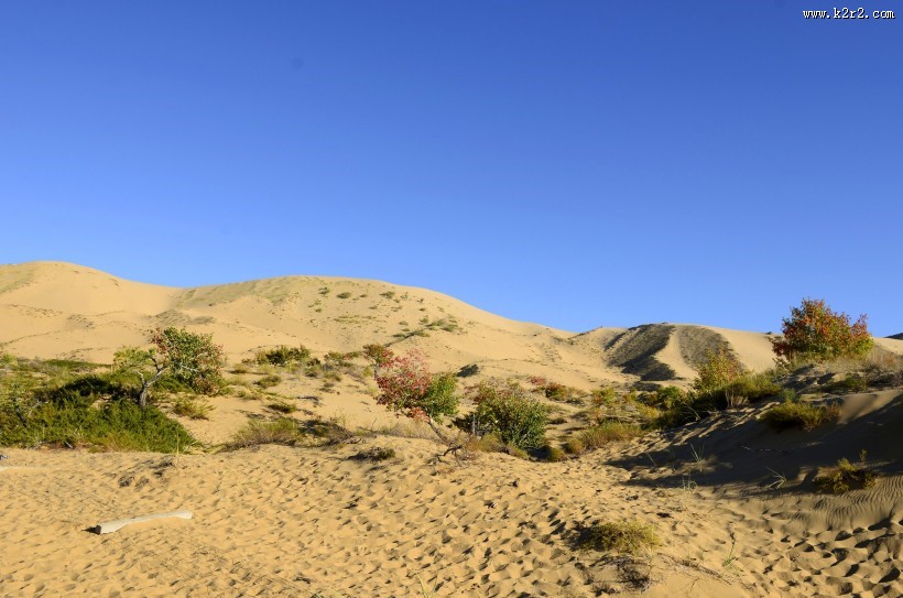 新疆白沙湖风景图片