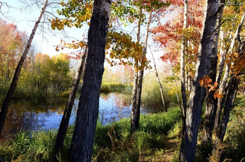 新疆白沙湖风景图片