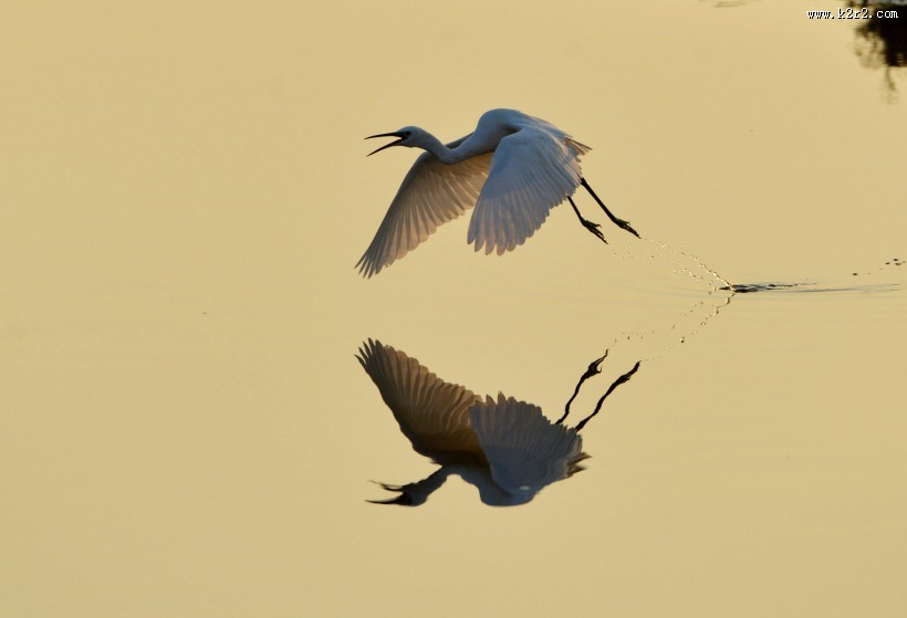 河北秦皇岛北戴河湿地风景桌面壁纸