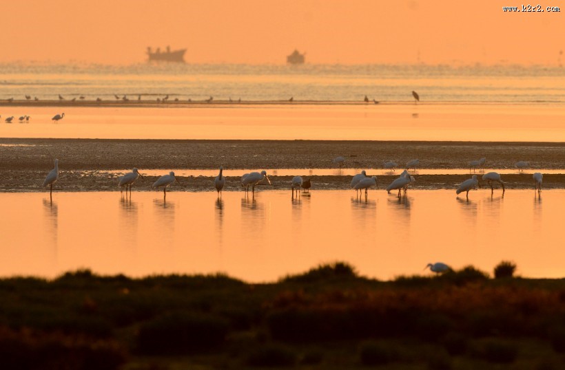 河北秦皇岛北戴河湿地风景桌面壁纸