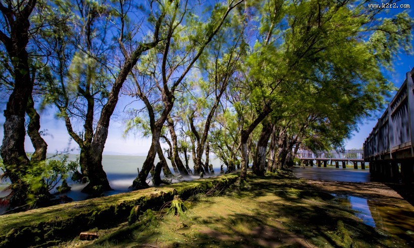 云南昆明捞鱼河湿地公园风景图片