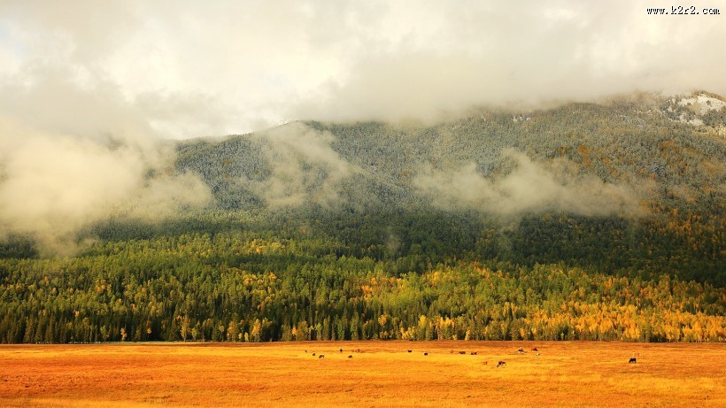 新疆喀纳斯鸭泽湖风景图片