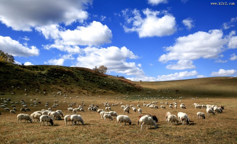 内蒙古多伦诺尔风景图片大全