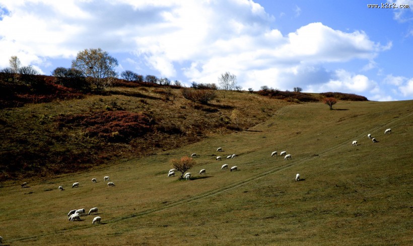 内蒙古多伦诺尔风景图片大全