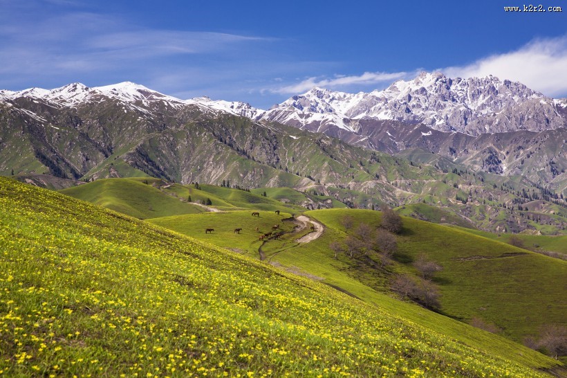 新疆大西沟风景图片大全